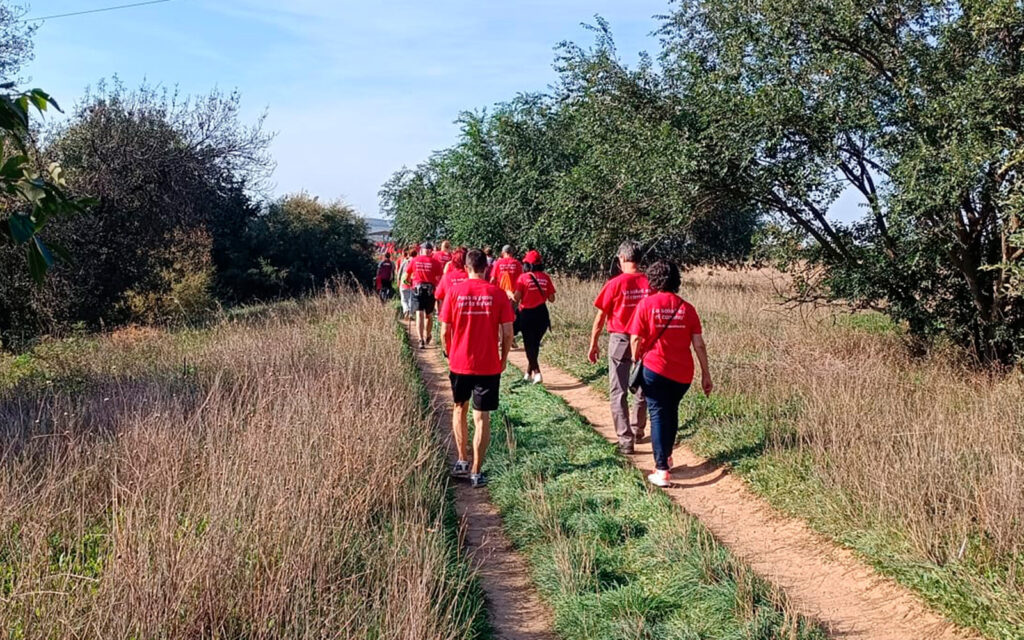 camino de cervantes