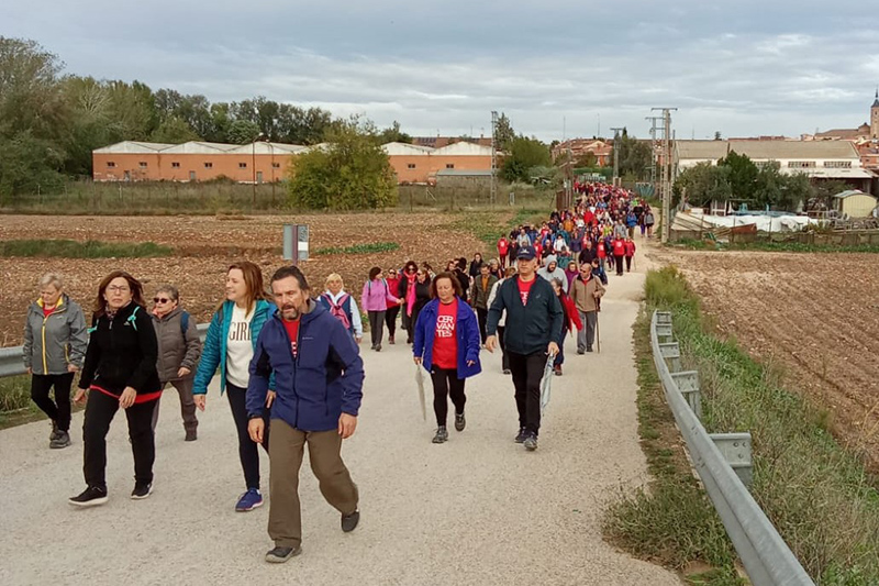 camino de cervantes