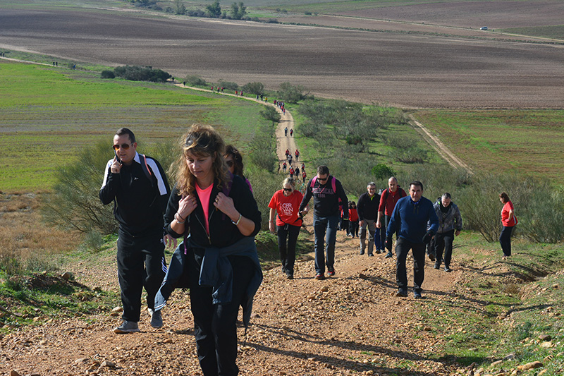 camino daganzo