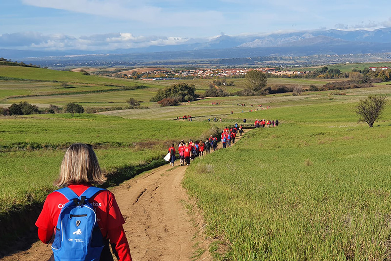 camino de cervantes