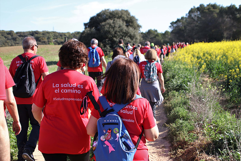 camino de cervantes