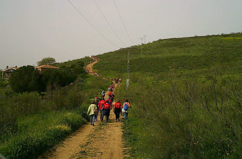 Camino de cervantes