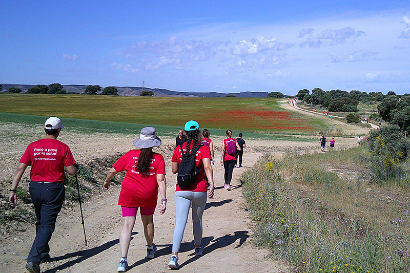 Camino cervantes