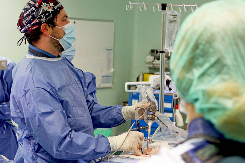 endoscopia