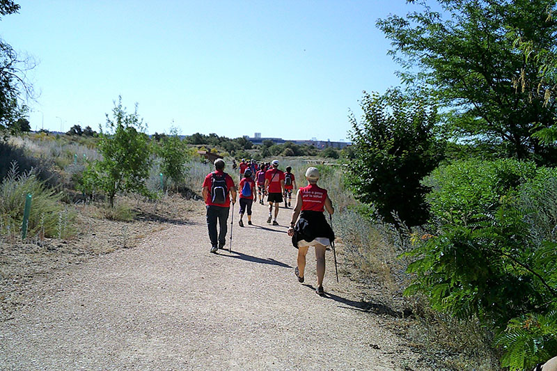 camino Velilla