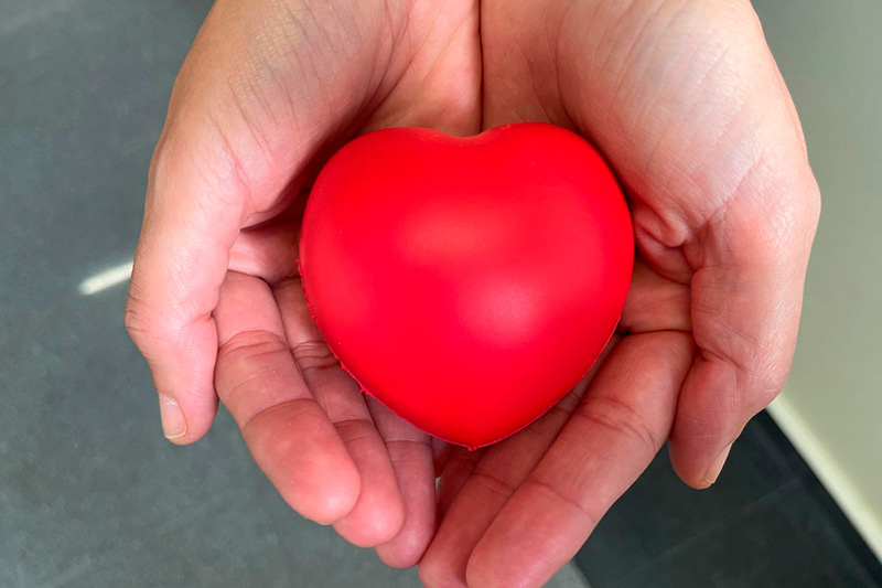 Actualización en prevención cardiovascular